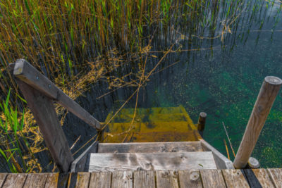 artemisia - plan d'eau