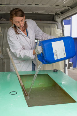 micro organisme Artemisia